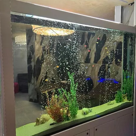 Apartment Sarafovo Atlantis 58 Burgas City